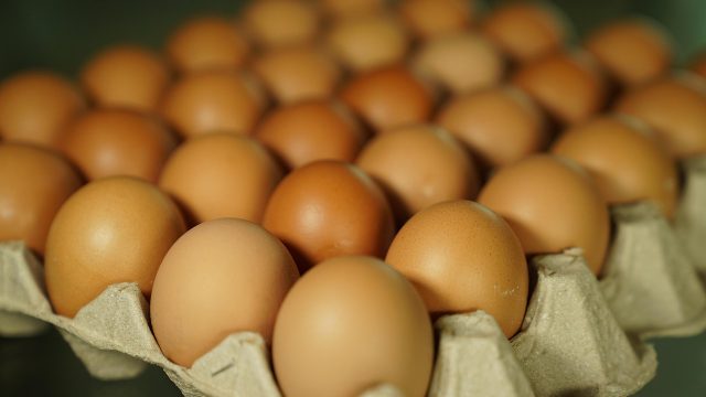 Garancia čerstvosti a kvality cateringu
